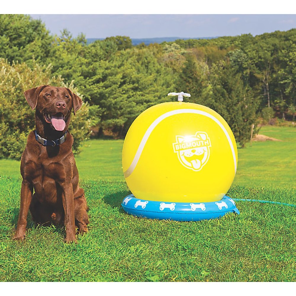 BigMouth Tennis Lover Dog Sprinkler